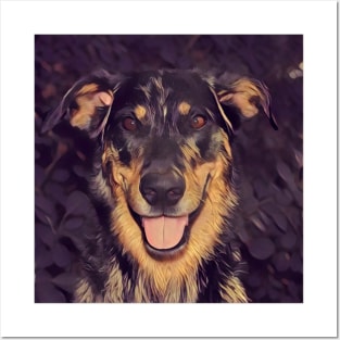 Jesse the beauceron Posters and Art